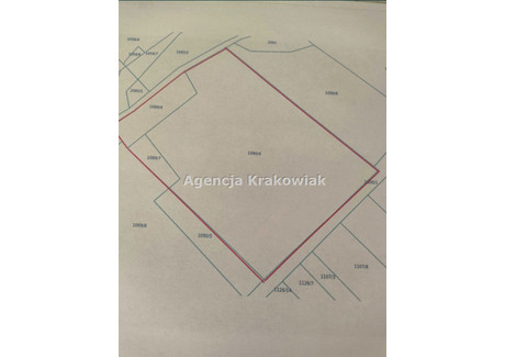 Działka na sprzedaż - Brzozowa Klecza Dolna, Wadowice, Wadowicki, 10 000 m², 950 000 PLN, NET-GS-5324