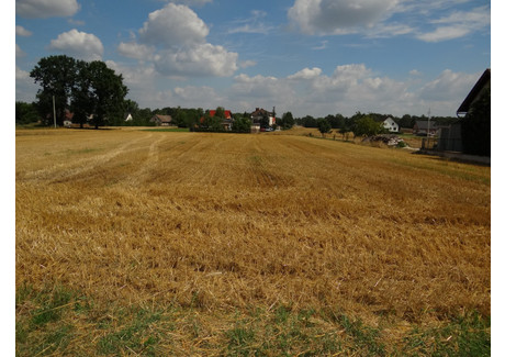 Działka na sprzedaż - Ligota Prószkowska, Prószków (gm.), Opolski (pow.), 1000 m², 100 000 PLN, NET-1001