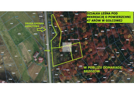 Działka na sprzedaż - Golcowa, Domaradz, Brzozowski, 4700 m², 26 500 PLN, NET-1932/5738/OGS