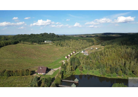 Działka na sprzedaż - Jaksmanice, Medyka, Przemyski, 528 500 m², 3 852 119 PLN, NET-2080/5738/OGS