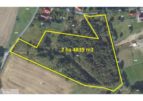 Działka na sprzedaż - Jerzmanki, Zgorzelec, Zgorzelecki, 24 839 m², 849 000 PLN, NET-KRU-GS-982