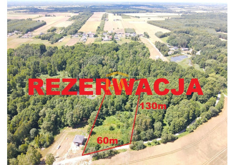 Działka na sprzedaż - Kowala-Duszocina, Wolanów, Radomski, 7800 m², 120 000 PLN, NET-236/4095/OGS