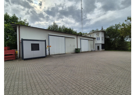 Magazyn, hala na sprzedaż - Warszawska Hipolitów, Halinów, Miński, 553 m², 2 990 000 PLN, NET-2/15909/OHS