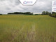 Rolny na sprzedaż - Gogolewo, Marianowo, Stargardzki, 18 400 m², 280 000 PLN, NET-HES27008
