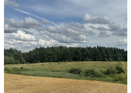 Działka na sprzedaż - Boczna Wielbrandowo, Skócz, Starogardzki, 6100 m², 39 000 PLN, NET-FF03351