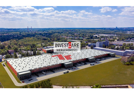 Magazyn do wynajęcia - Katowice, 3000 m², 46 200 PLN, NET-IVN-HW-289-3