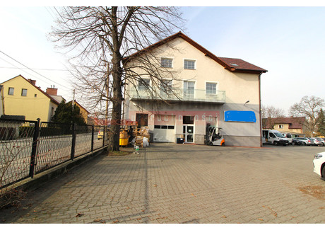 Komercyjne do wynajęcia - Zaodrze, Opole, 453 m², 17 000 PLN, NET-14975