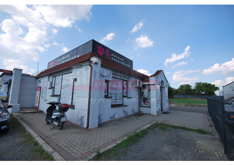 Komercyjne na sprzedaż - Nowa Wieś Królewska, Opole, Opolski, 120 m², 610 000 PLN, NET-14751