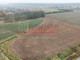 Działka na sprzedaż - Karczów, Dąbrowa, Opolski, 1627 m², 244 000 PLN, NET-15892