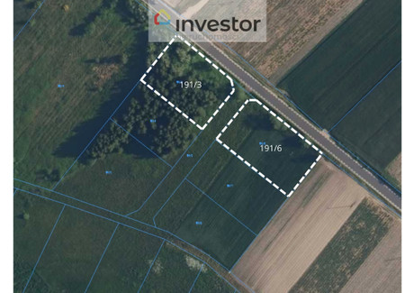 Działka na sprzedaż - Złotopolice, Załuski, Płoński, 1999 m², 160 000 PLN, NET-4482/9376/OGS