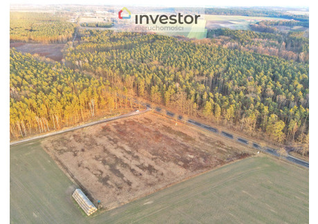 Działka na sprzedaż - Ostrowina, Oleśnica, Oleśnicki, 13 200 m², 1 584 000 PLN, NET-4227/9376/OGS