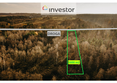 Działka na sprzedaż - Pogwizdów, Czarna, Łańcucki, 5600 m², 56 000 PLN, NET-4397/9376/OGS