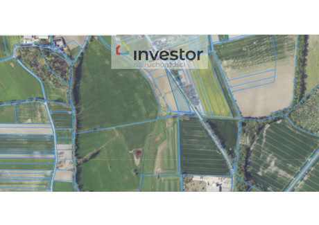 Działka na sprzedaż - Grunwaldzka Prószków, Opolski, 6940 m², 99 000 PLN, NET-4398/9376/OGS