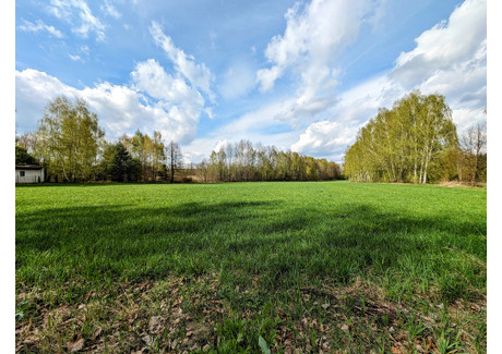 Działka na sprzedaż - Szlachecka Anielin Swędowski, Stryków, Zgierski, 11 900 m², 493 000 PLN, NET-755/13397/OGS