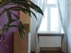 Mieszkanie do wynajęcia - Edwarda Abramowskiego Łódź-Śródmieście, Łódź, 51,77 m², 1950 PLN, NET-56/13397/OMW
