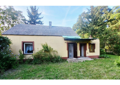 Dom na sprzedaż - Lisice, Dąbie, Kolski, 54 m², 220 000 PLN, NET-638/13397/ODS