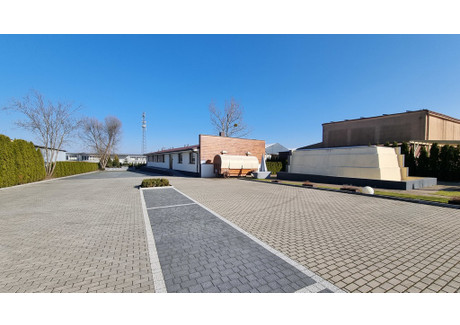 Lokal na sprzedaż - Łódź, 300 m², 2 150 000 PLN, NET-28/13397/OOS