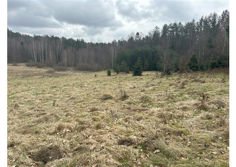 Działka na sprzedaż - Piekiełko, Bieszkowice, Wejherowski, 46 000 m², 499 000 PLN, NET-WJ03287