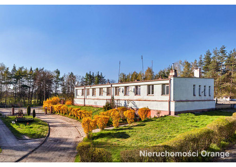 Obiekt na sprzedaż - gm. Dobroszyce Strzelce, Dobroszyce (gm.), Oleśnicki (pow.), 1953 m², 1 200 000 PLN, NET-T02282