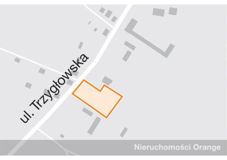 Działka na sprzedaż - ul. Trzygłowska Gryfice, 4267 m², 290 000 PLN, NET-T07833