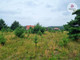 Rolny na sprzedaż - Woryty, Gietrzwałd, Olsztyński, 9982 m², 948 290 PLN, NET-15194077