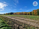 Rolny na sprzedaż - Opin, Orneta, Lidzbarski, 46 842 m², 230 000 PLN, NET-15259529