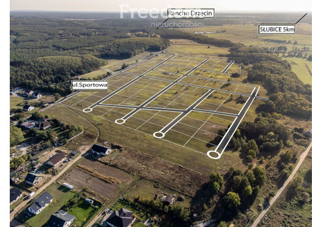 Działka na sprzedaż - Drzecin, Słubice, Słubicki, 1000 m², 150 000 PLN, NET-7025/3685/OGS