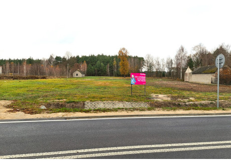 Działka na sprzedaż - Łosiewice, Łochów, Węgrowski, 8500 m², 290 000 PLN, NET-9208/3685/OGS