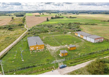 Lokal do wynajęcia - Pogrodzie, Tolkmicko, Elbląski, 800 m², 4000 PLN, NET-93/3685/OOW