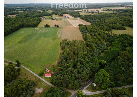 Działka na sprzedaż - Pabianice, Pabianicki, 32 455 m², 999 000 PLN, NET-6179/3685/OGS