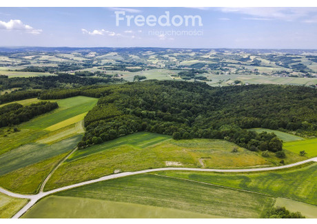 Działka na sprzedaż - Wielopole Skrzyńskie, Ropczycko-Sędziszowski, 12 400 m², 180 000 PLN, NET-8004/3685/OGS