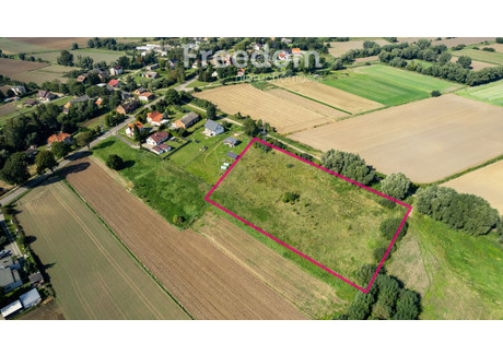 Działka na sprzedaż - Koźliny, Suchy Dąb, Gdański, 8180 m², 330 000 PLN, NET-6360/3685/OGS