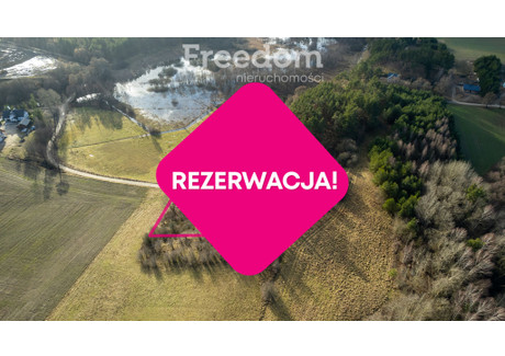 Działka na sprzedaż - Wolny Dwór, Skarszewy, Starogardzki, 4100 m², 170 000 PLN, NET-8968/3685/OGS