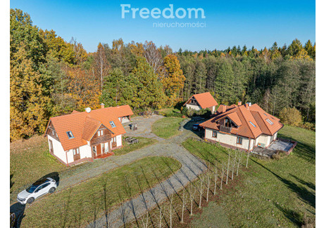 Dom na sprzedaż - Młynary, Elbląski, 370 m², 1 475 000 PLN, NET-13397/3685/ODS