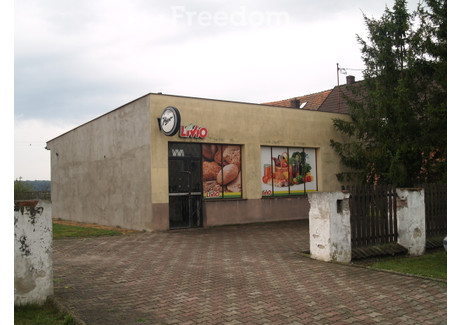 Lokal na sprzedaż - Błota, Lubsza, Brzeski, 78 m², 247 000 PLN, NET-1530/3685/OLS