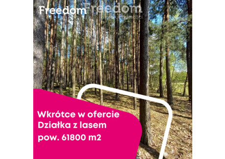 Działka na sprzedaż - Goszczyce Poświętne, Baboszewo, Płoński, 61 800 m², 199 000 PLN, NET-7251/3685/OGS