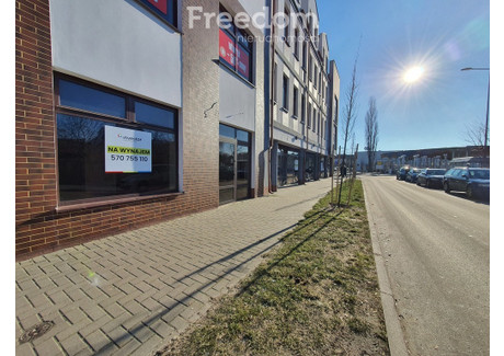 Lokal do wynajęcia - Biała Podlaska, 220 m², 6800 PLN, NET-1536/3685/OLW