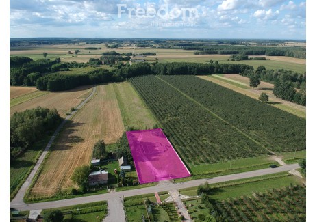 Działka na sprzedaż - Filipinów, Zwoleń, Zwoleński, 3000 m², 210 000 PLN, NET-8324/3685/OGS