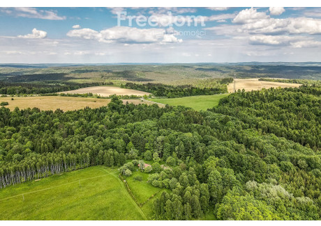 Działka na sprzedaż - Borownica, Bircza, Przemyski, 11 700 m², 111 000 PLN, NET-6493/3685/OGS