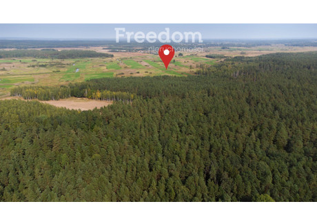 Działka na sprzedaż - Rybaki, Narew, Hajnowski, 6575 m², 33 012 PLN, NET-8697/3685/OGS