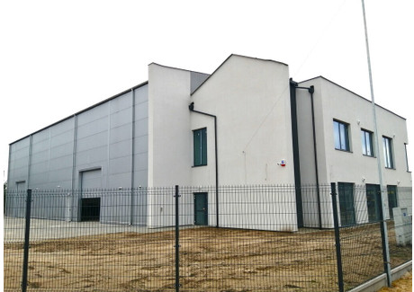 Komercyjne do wynajęcia - Legionowo, Legionowski, 630 m², 35 000 PLN, NET-102/3685/OHW