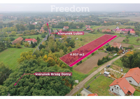 Działka na sprzedaż - św. Jadwigi Lubiąż, Wołów, Wołowski, 6370 m², 379 000 PLN, NET-5893/3685/OGS