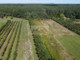 Rolny na sprzedaż - Pęcław, Góra Kalwaria, Piaseczyński, 12 953 m², 260 000 PLN, NET-20907/DLR/DZS-211957