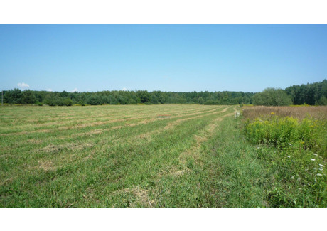 Działka na sprzedaż - Nowy Prażmów, Prażmów, Piaseczyński, 35 000 m², 2 000 000 PLN, NET-19430