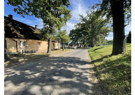 Mieszkanie na sprzedaż - Rzeplino, Dolice, Stargardzki, 44,01 m², 139 000 PLN, NET-MDN77288