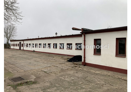 Magazyn na sprzedaż - Lubiechowo, Kamieniec, Grodziski, 685 m², 973 000 PLN, NET-FIN-HS-931