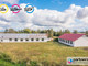 Hala na sprzedaż - Rzeczna Nowy Dwór Gdański, Nowodworski, 13 662 m², 2 499 000 PLN, NET-PAN873290