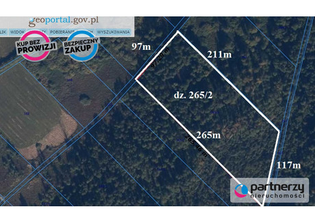 Działka na sprzedaż - Ciechocin, Chojnice, Chojnicki, 23 799 m², 310 000 PLN, NET-PAN989071