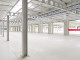 Obiekt do wynajęcia - Innowacyjna Sosnowiec, 4800 m², 16 560 Euro (71 539 PLN), NET-480