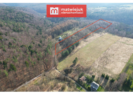 Działka na sprzedaż - Sąspów, Jerzmanowice-Przeginia, Krakowski, 23 810 m², 300 000 PLN, NET-MN260724